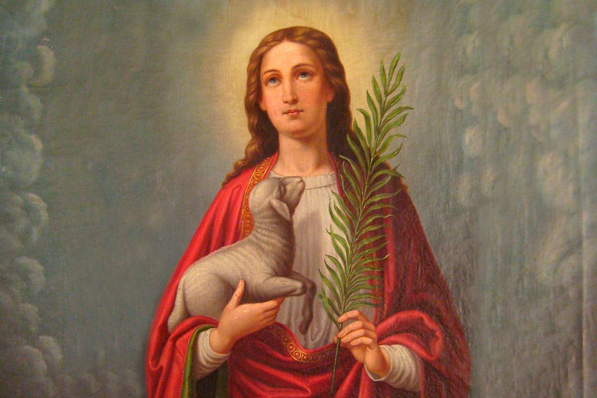 Santa Inês